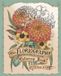 Floriography Andrews McMeel Publishing Floriography Coloring Book