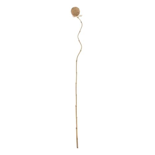 tak, beige, bloem, 8 x 8 x 156 cm