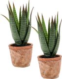Merkloos Set van 2x stuks Aloe Vera kunstplant in terracotta pot 23 cm