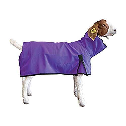 Weaver Leather Unisex's Goat Blanket, Large, Purple, L