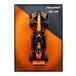 Maisto McLaren MCL38 RC F1 Auto, Lando Norris #4, schaal 1:10, met fotolijst