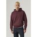 Levi's Authentic Hoodie