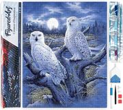 Figured'Art Diamond Painting set Volwassenen 40x50 cm Uilen en maan