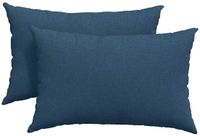 vidaXL - Zitkussens - 2 stuks - Stof - Blauw - 60 x 40 cm