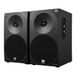 Woxter DL-410 BT 1-weg Zwart Bedraad 150 W