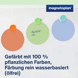 Magnetoplan 112501610 Presentatiekaart Roze Groen Geel Wi