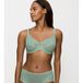 Triumph Minimizer-BH Signature Sheer