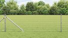 Euro-hek met grondpennen 25 x 0,8 m Gegalvaniseerd staal Mesh