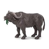 Safari - Kaap Buffel