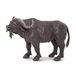 Safari - Kaap Buffel