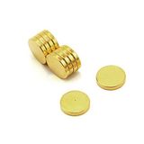 Magneet Expert Vergulde Therapie Magneet - 12mm dia x 2mm dik - Dimple On North Face (Pack van 200)
