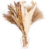 Unyqoos ® Uitgebreide Set van 104 Gedroogde Pampasgrassen voor Boho Huisdecoratie