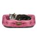 Cleva Home Hond Kattenmand