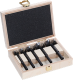Bosch 5x EXPERT Wood Forstner borenset