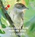 Rebo Productions Vogels van tuin, park en stad in Europa
