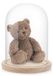 Merkloos Glazen Stolp Met Houten Voet - Decoratieve Stolp - Transparante Koepel - Formaat 15x21 cm - Voor Kaarsen/Bloemen/Miniaturen