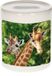 Bellatio Decorations Shoppartners Bv Dieren giraffe foto spaarpot 9 cm jongens en meisjes - Cadeau spaarpotten giraffe giraffen liefhebber