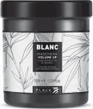 Black Professional Inebrya Black Professional - Blanc Volume Up Masker