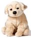 Golden Retriever Peluche assis, 25 cm