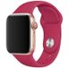 123watches.nl Apple Watch Bandje - Siliconen - Granaatappel