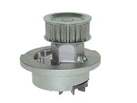 Saleri SIL PA707P waterpomp