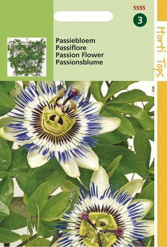 Hortitops Passiebloem
