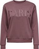JDY JDYPARIS L/S EMB SWEAT JRS Dames Trui Rose Brown