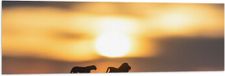 Merkloos / Sans marque Vlag - Speelgoed Dieren bij Zonsondergang - 120x40 cm - Polyester