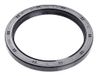 Oil seal