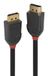 Lindy 36517 DisplayPort kabel 2 m Zwart