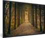 PosterMonkey Fotolijst 30x20 cm - Pad - Bomen - Bos - Groen - Kunststof - Posterlijst