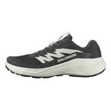 SALOMON ALPHAGLIDE Wandelschoenen voor heren, Zwart / Phantom / Icicle, 44 2/3 EU