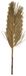 Dijk Natural Collections Palmblad naturel 28x1.3x99cm decotak XL