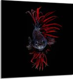 TMK ArtDeko - Snijplank - 60x65 cm - Glas