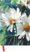 Dark Neumann Verlage Dark Flowers 2027 Hardcover