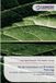 Social Lap Lambert Academic Publishing Social Innovation via Precision Farming