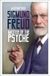 Sigmund The History Press Ltd Sigmund Freud Paperback