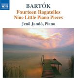 Outhere Naxos Jenö Jandó - Bartók: Fourteen Bagatelles | Nine Little Piano Pieces (CD)