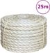 vidaXL Touw 10 mm 25 m 100% sisal