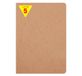 Clairefontaine 73306Cpack Collectie Age Bag Pak met 5 Geniete Schriften Tabak - A4 21x29,7 cm - 96 Gelijnde Pagina's met Kantlijn - Wit Papier 90 g - Kaft in Glanskarton met Lederstructuur