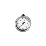 RIEGLER 102510-4083 manometer, CrNi-staal, G 1/4 midden achter 0-6,0 bar, Ø 63, 1 st.