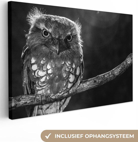 OneMillionCanvasses Canvas Schilderij Uil Zwart Vogel 120x80cm - Muurdecoratie Canvasdoek