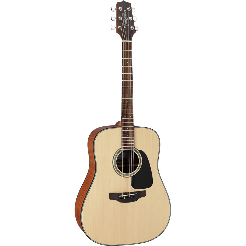 Takamine GD10-NS