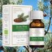 Fiore d'Oriente Phoenix Biologische etherische olie Grove Den - 10ml - Aromatherapie