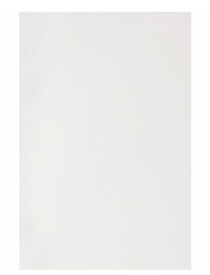GBC PolyOpaque Bindomslagen A4 300mic Wit (100)