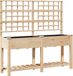 vidaXL Jardinière beige 161 x 46 x 152,5 cm bois d'épicéa massif