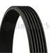 Continental Courroie Trapézoïdale À Nervures 6pk2397 Mercedes-benz 0019931896