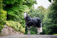 Horseware Amigo 1200D Plus Turnout Bundel Zwart/Titanium