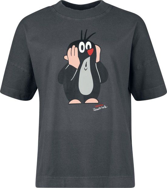 Het Molletje Oversized T-shirt - meerkleurig - M