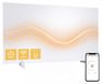 OEM Infraroodverwarmingspaneel, 720W, met koolstofkristallen, WiFi, instelbaar van 16-37°C